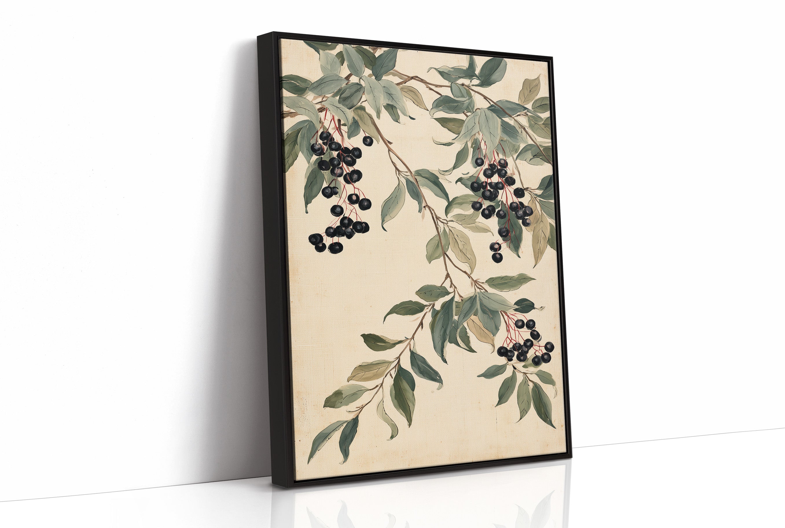 Botanical Berry: Elderberry Vine