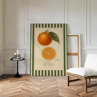Vintage Orange Slice Botanical Study