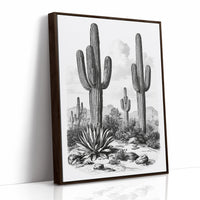 Desert Engraving With Agave