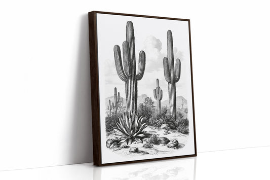 Desert Engraving With Agave