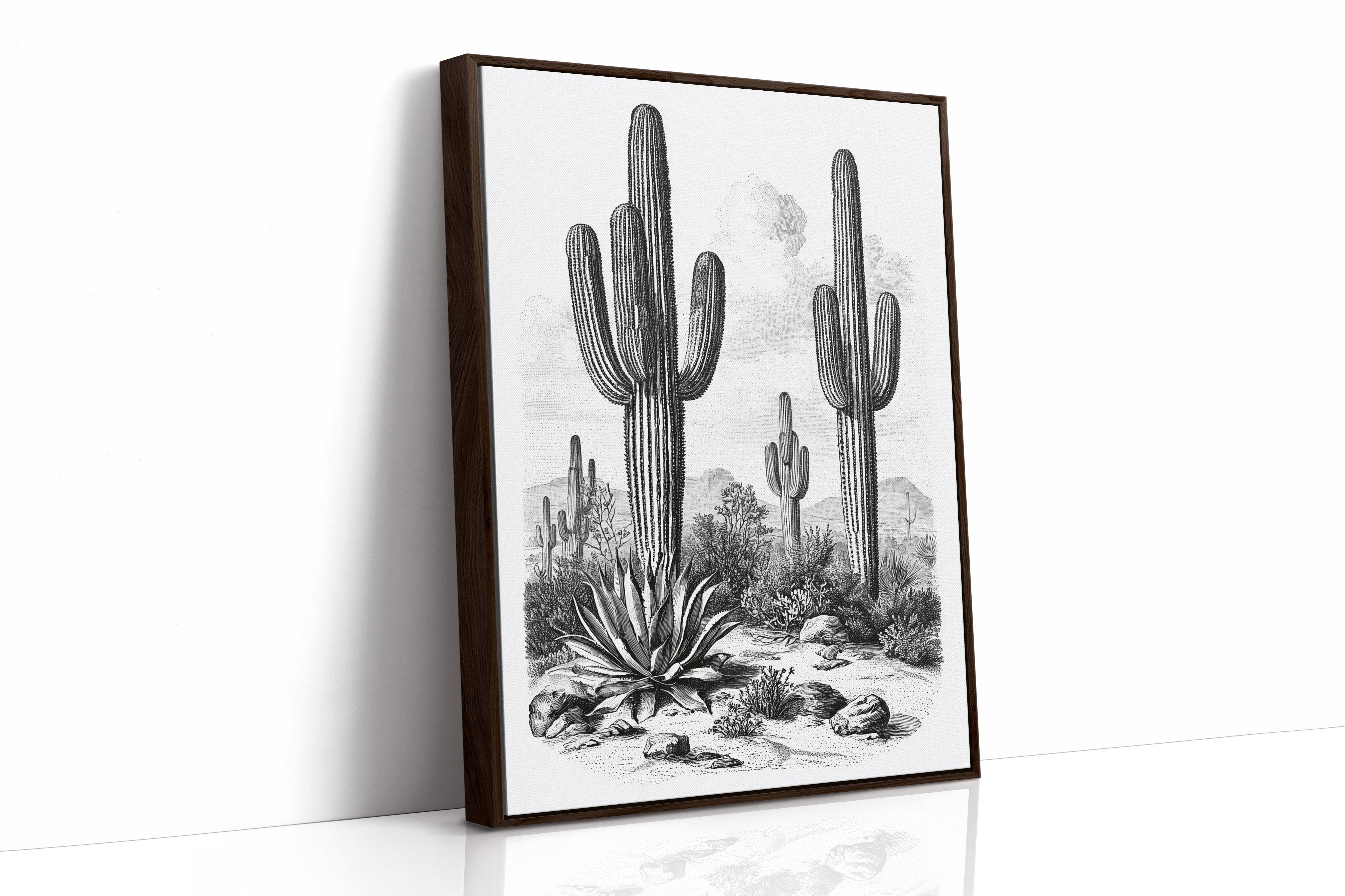 Desert Engraving With Agave