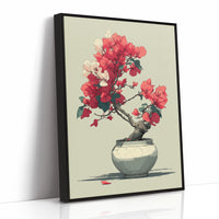 Bougainvillea in Bloom