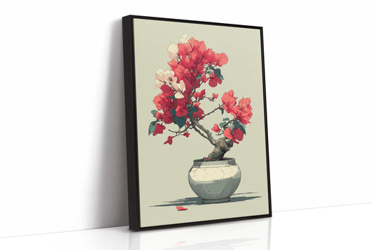 Bougainvillea in Bloom
