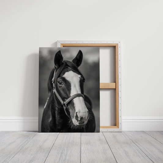 Gentle Spirit