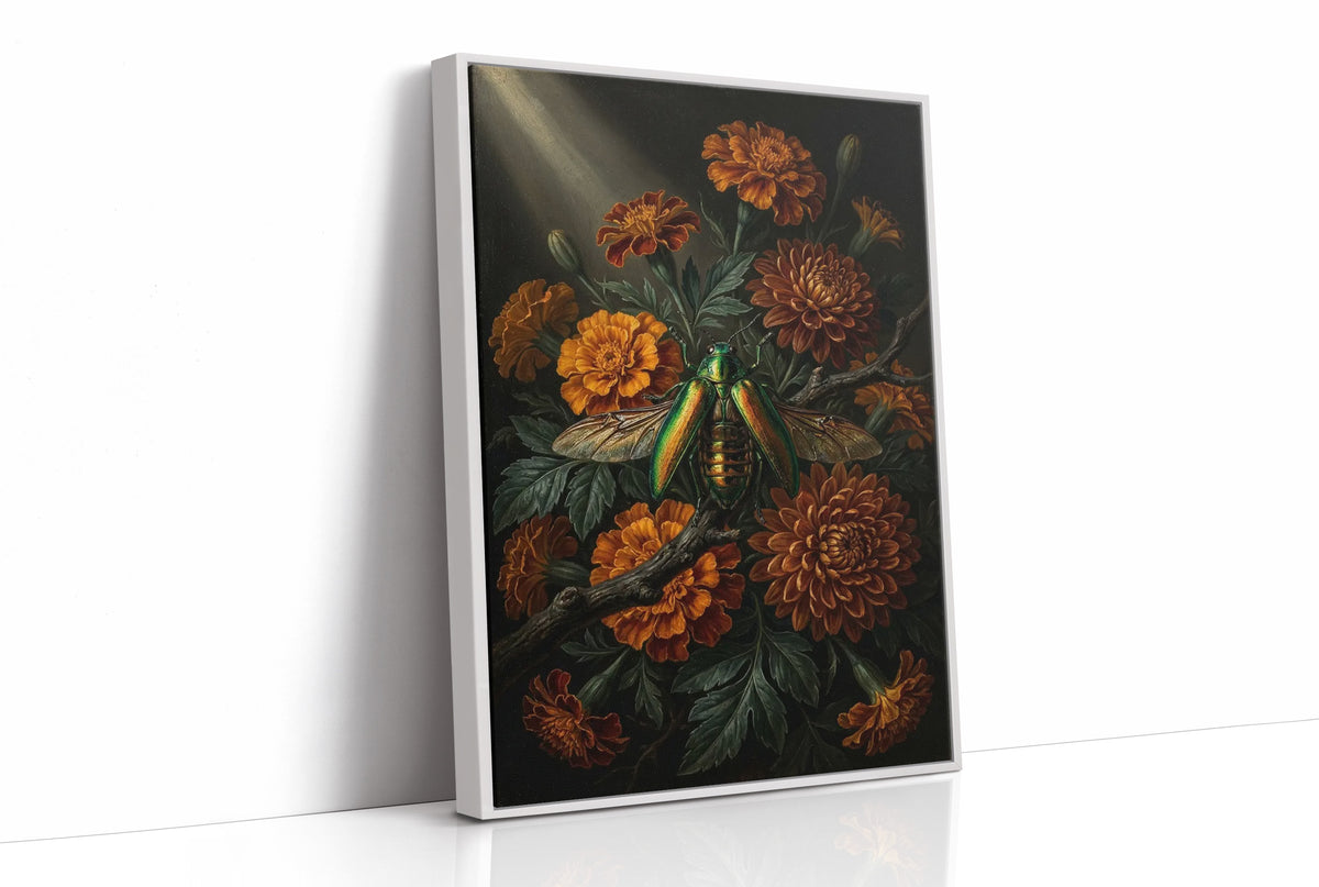 Where Light Finds Wings