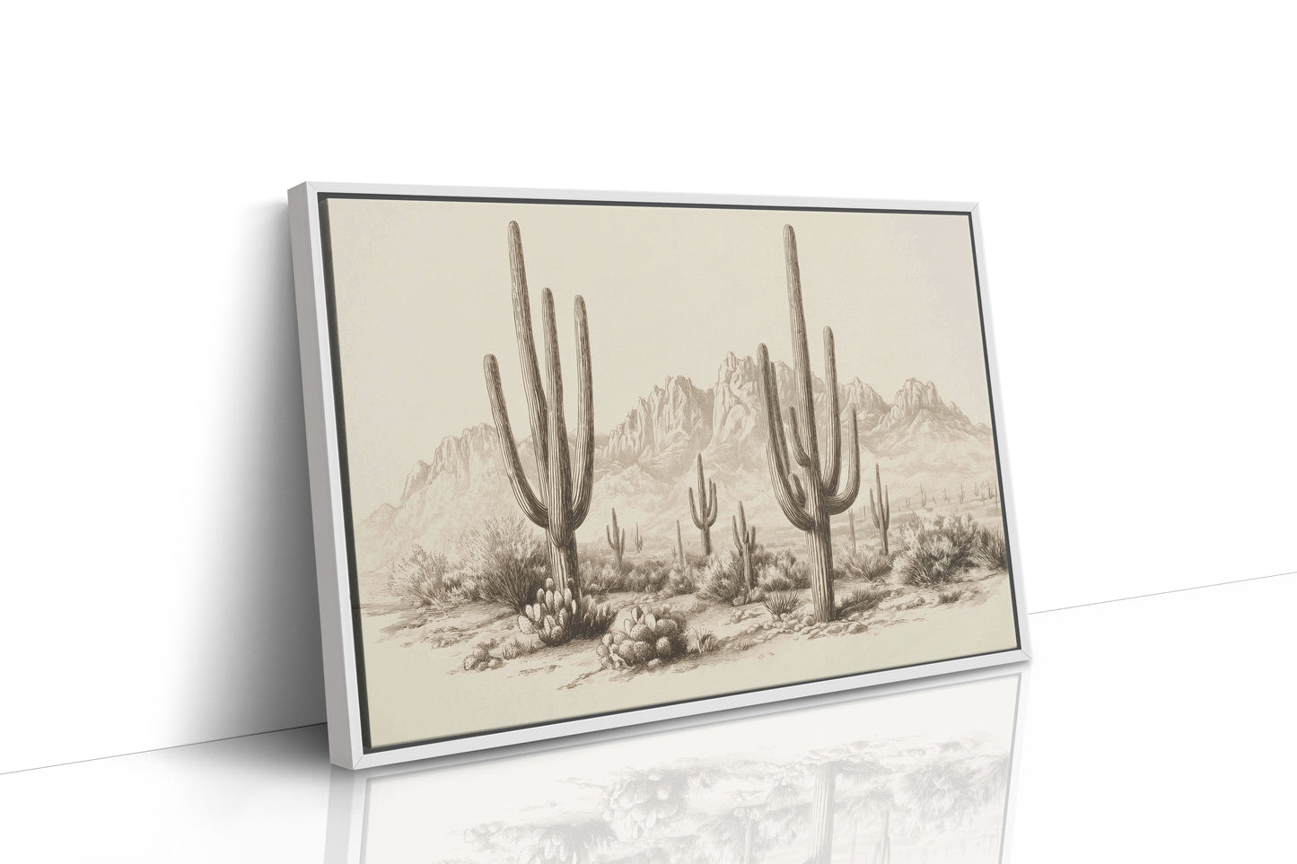 Saguaros Keep Ancient Mountain Secrets