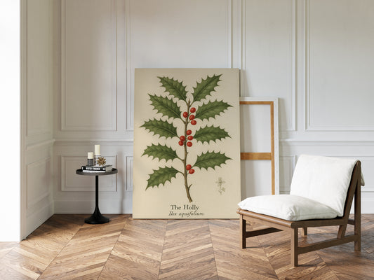 The Holly Botanical Art Print