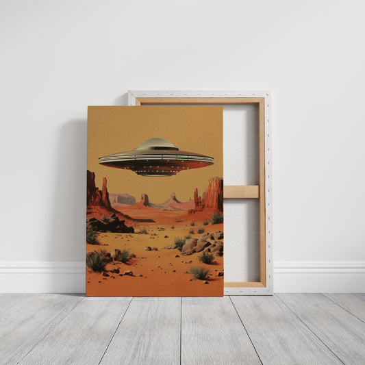 The Day the Desert Looked Up