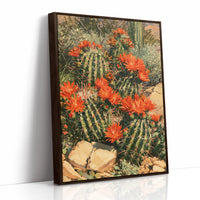 Hedgehog Cactus Puts on a Fireworks Show