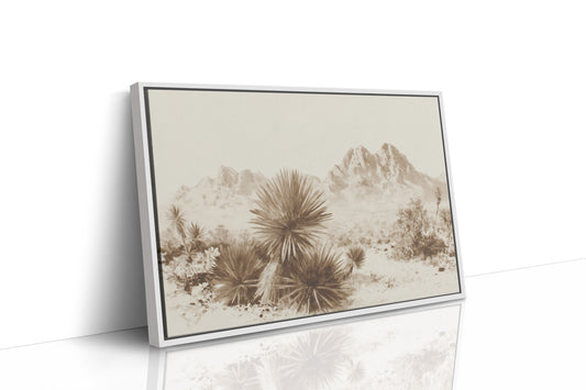 Yucca Blooms Pierce Desert Dawn