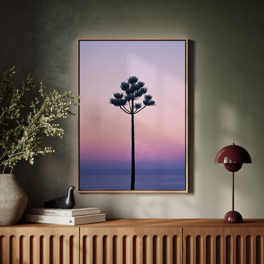 Twilight Palm Reaches For Stars