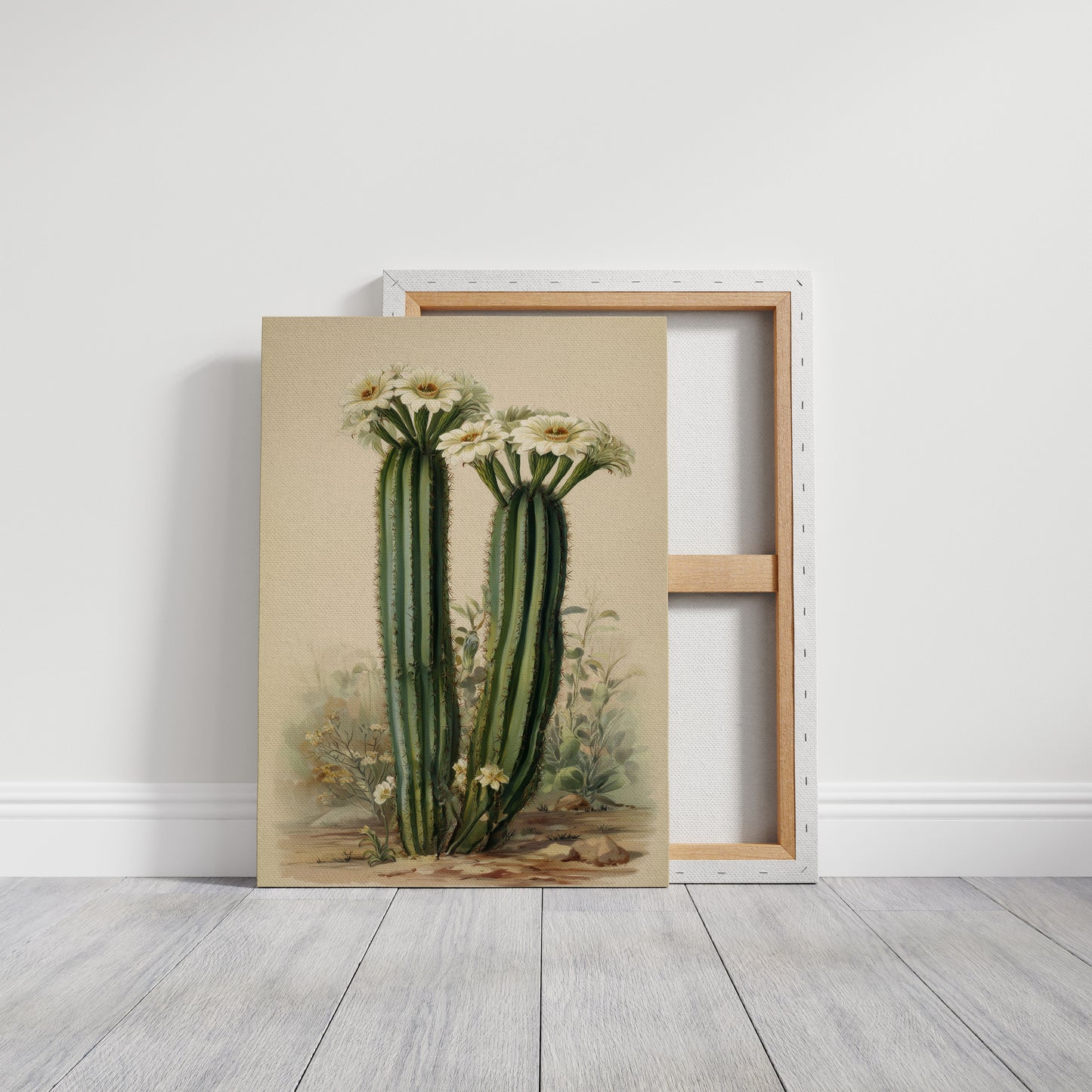 Saguaro Stories Light Desert Memories