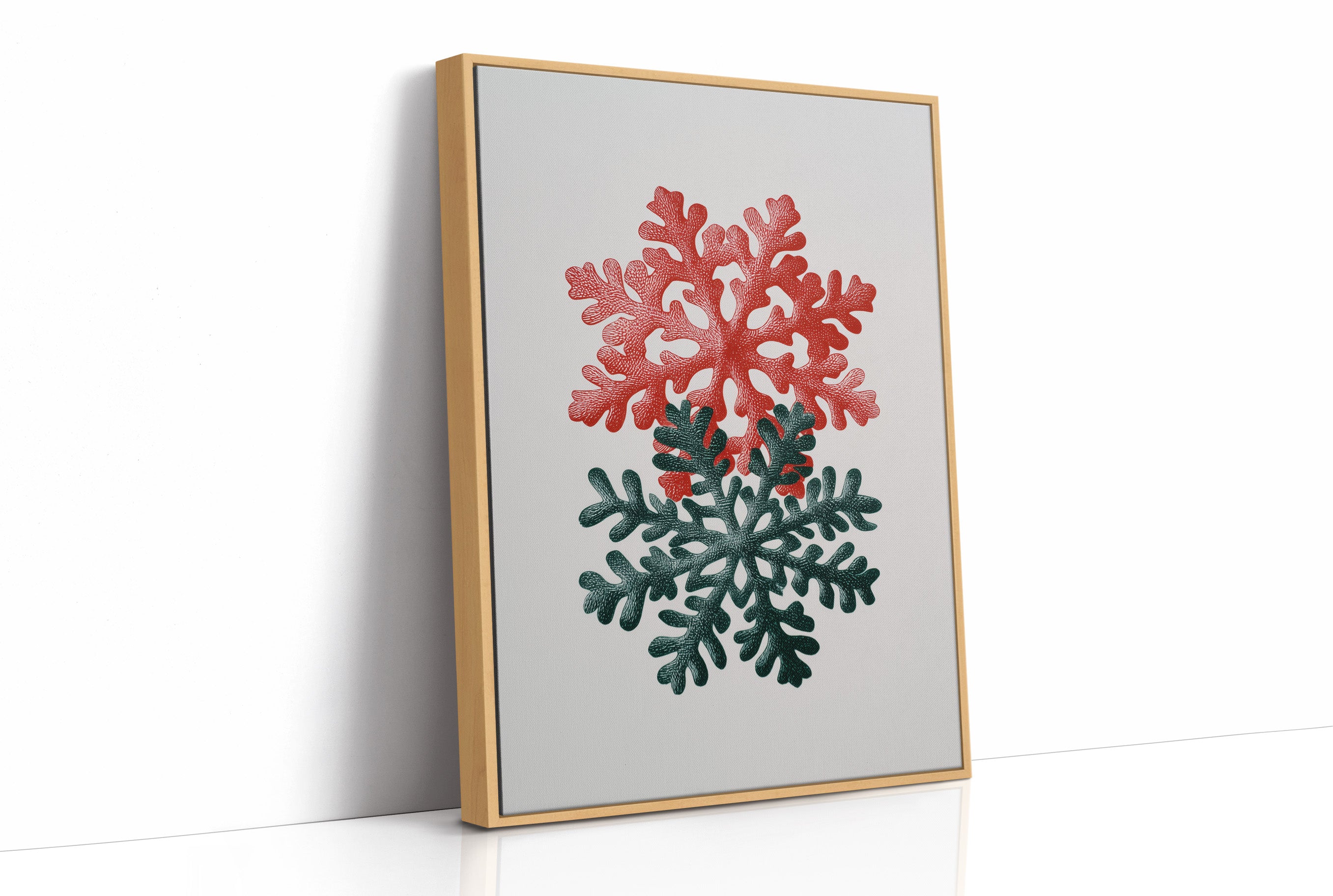 Two Snowflakes, Christmas Colors