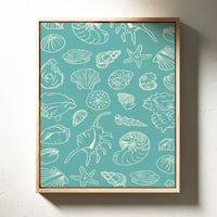 Seashells Draw Maps To Paradise