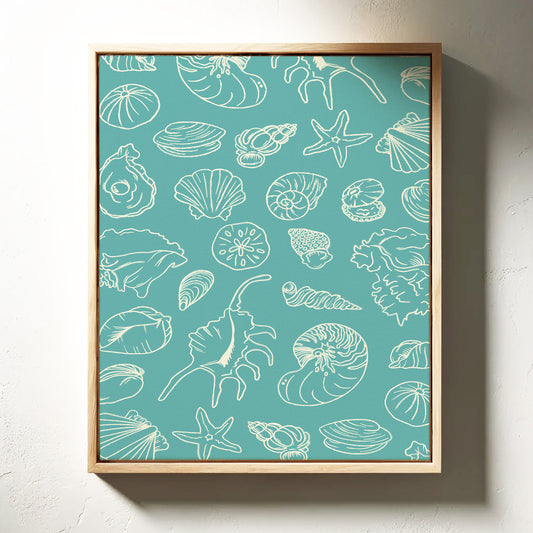 Seashells Draw Maps To Paradise