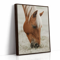 Quiet Morning Graze with Golden Mane