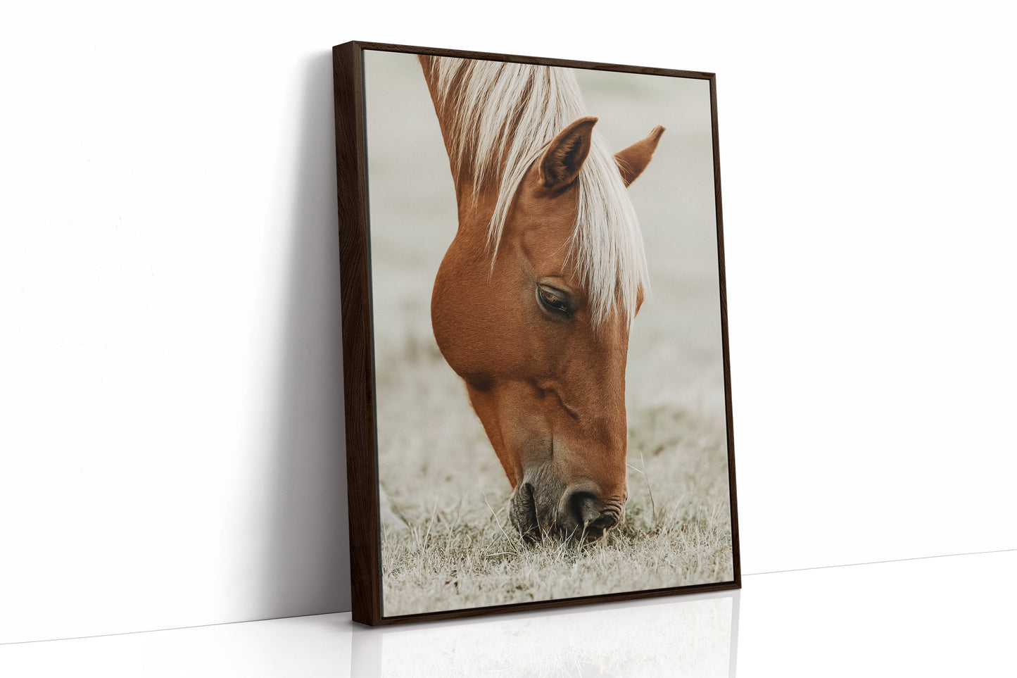 Quiet Morning Graze with Golden Mane