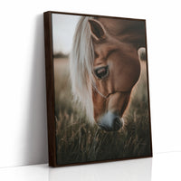 Golden Dusk and Gentle Eyes