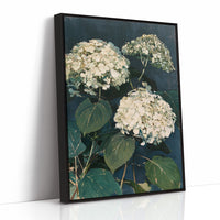 Hydrangeas After Dusk
