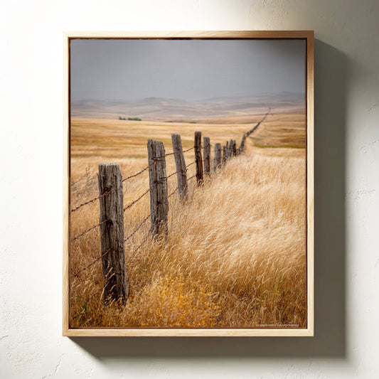 Fences That Tell Forgotten Tales