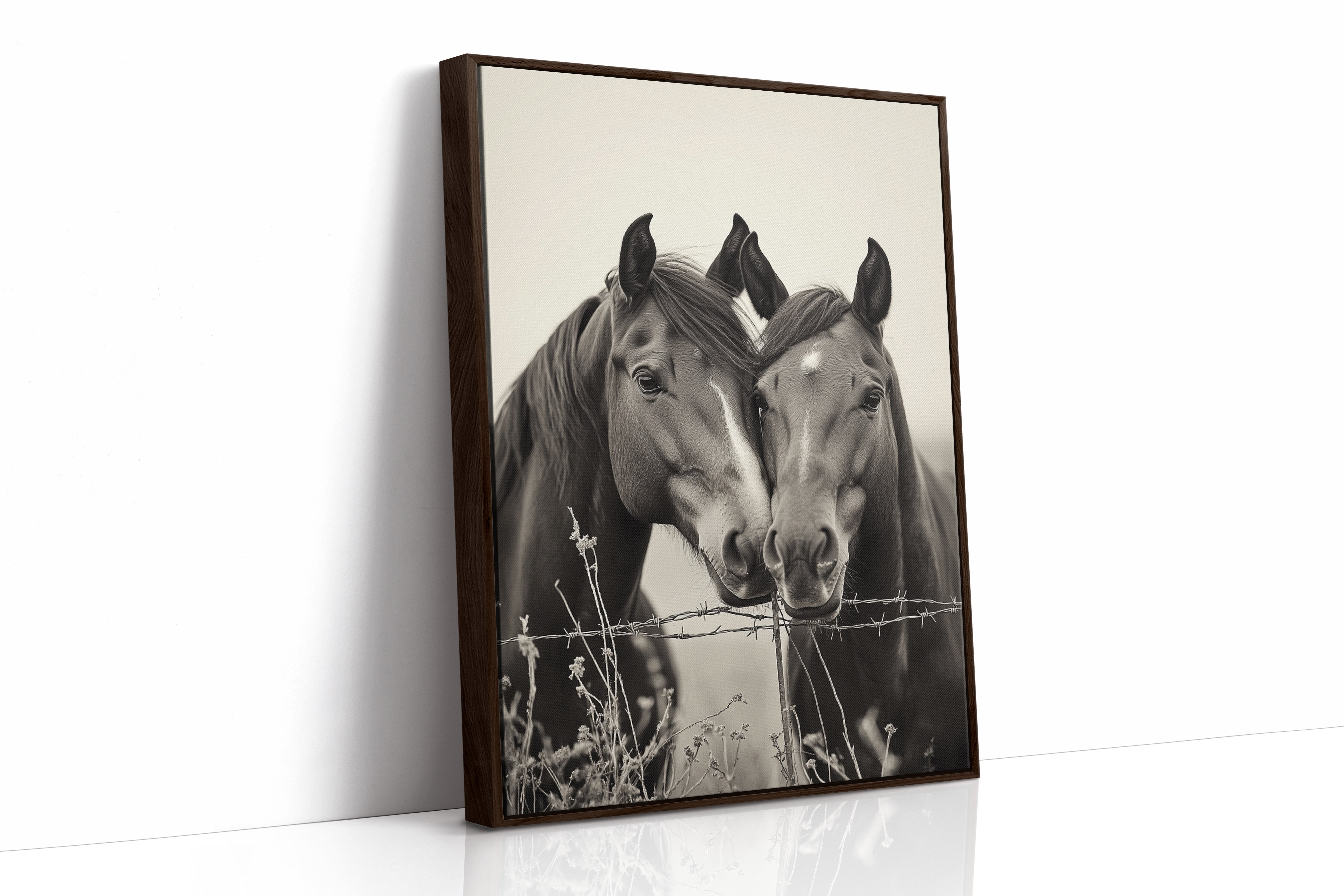 Close Companions at the Fence Line