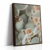 Soft Bloom on Fuzzy Desert Cactus