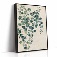 Silver Dollar Eucalyptus Sprig