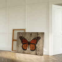 Weathered Wings Tell Summer Stories