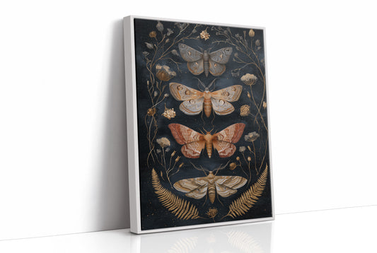 Midnight Moths Among Golden Stems