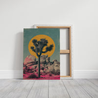 Joshua Trees Paint Desert Dreams