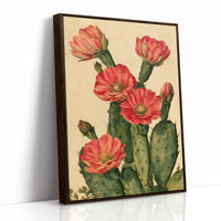 Coral Bloom Prickly Pear