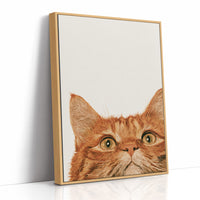 Orange Cat, Full Attention