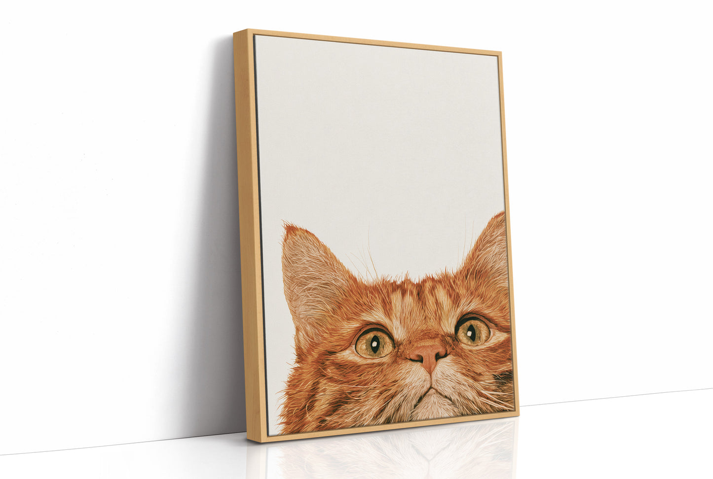 Orange Cat, Full Attention