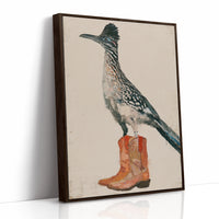 Roadrunner in Borrowed Boots
