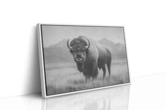 Prairie Kings Remember Their Throne