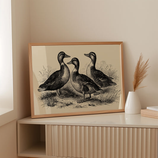 Gathering of Gentle Companions