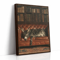 Donkey's Library Nap