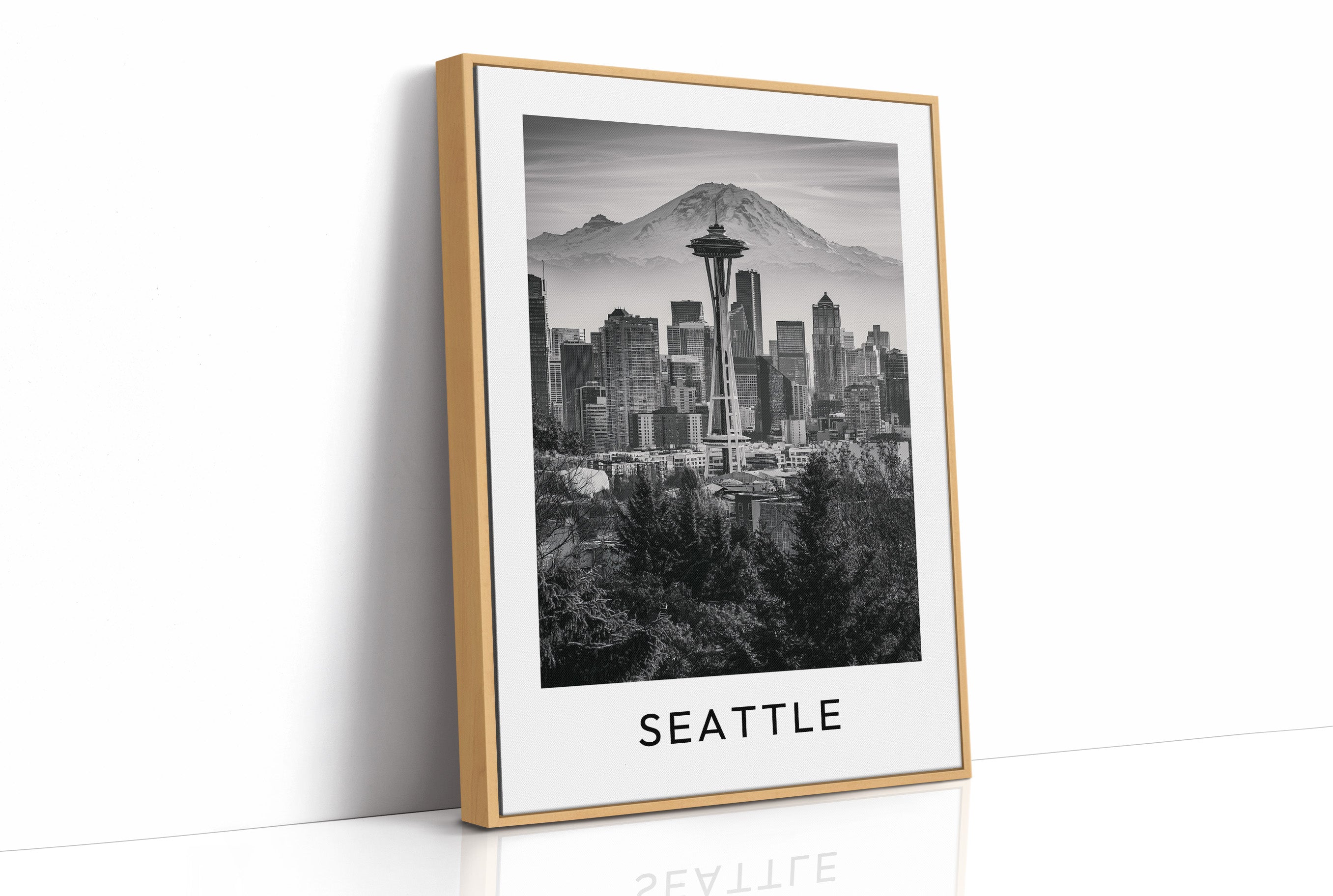Space Needle, Mountain Backdrop