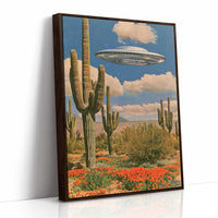 Sightings Over the Sonoran