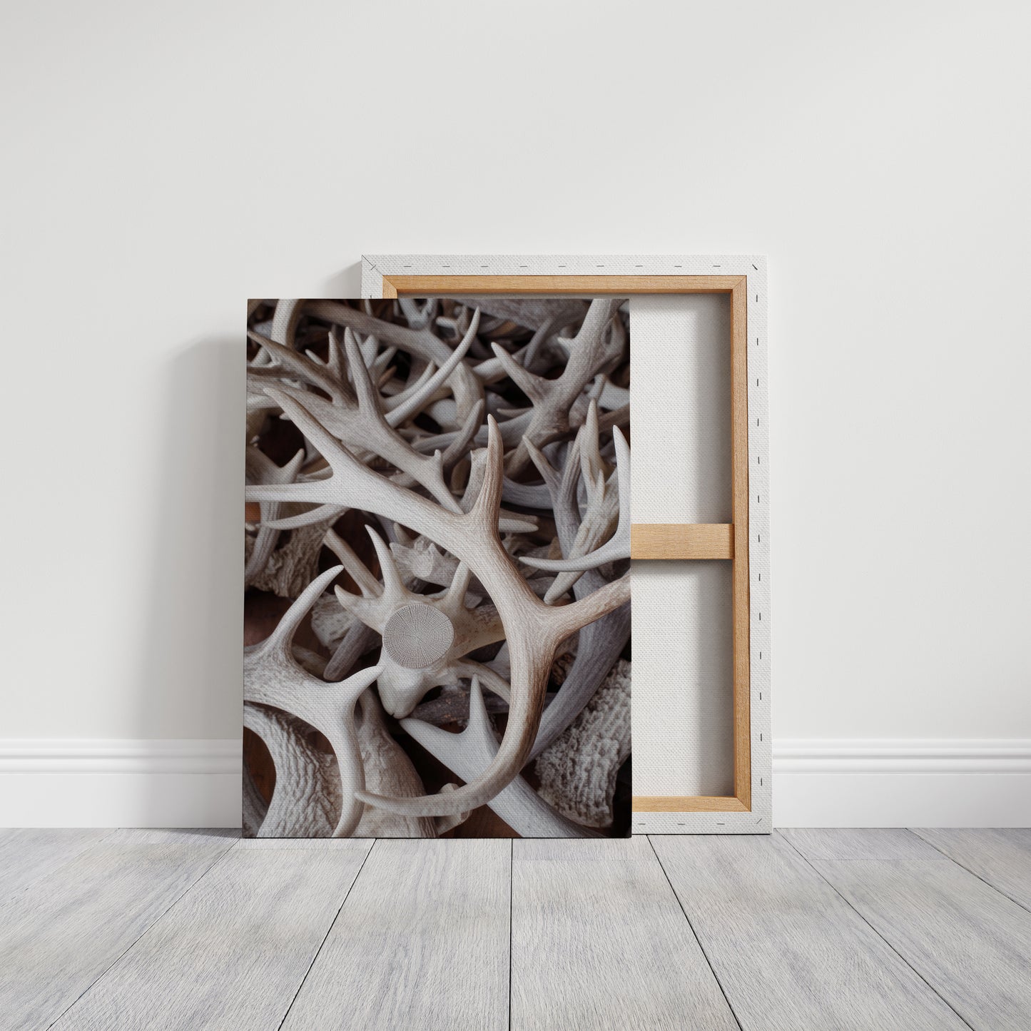 Antlers Tell Tales Of Winter