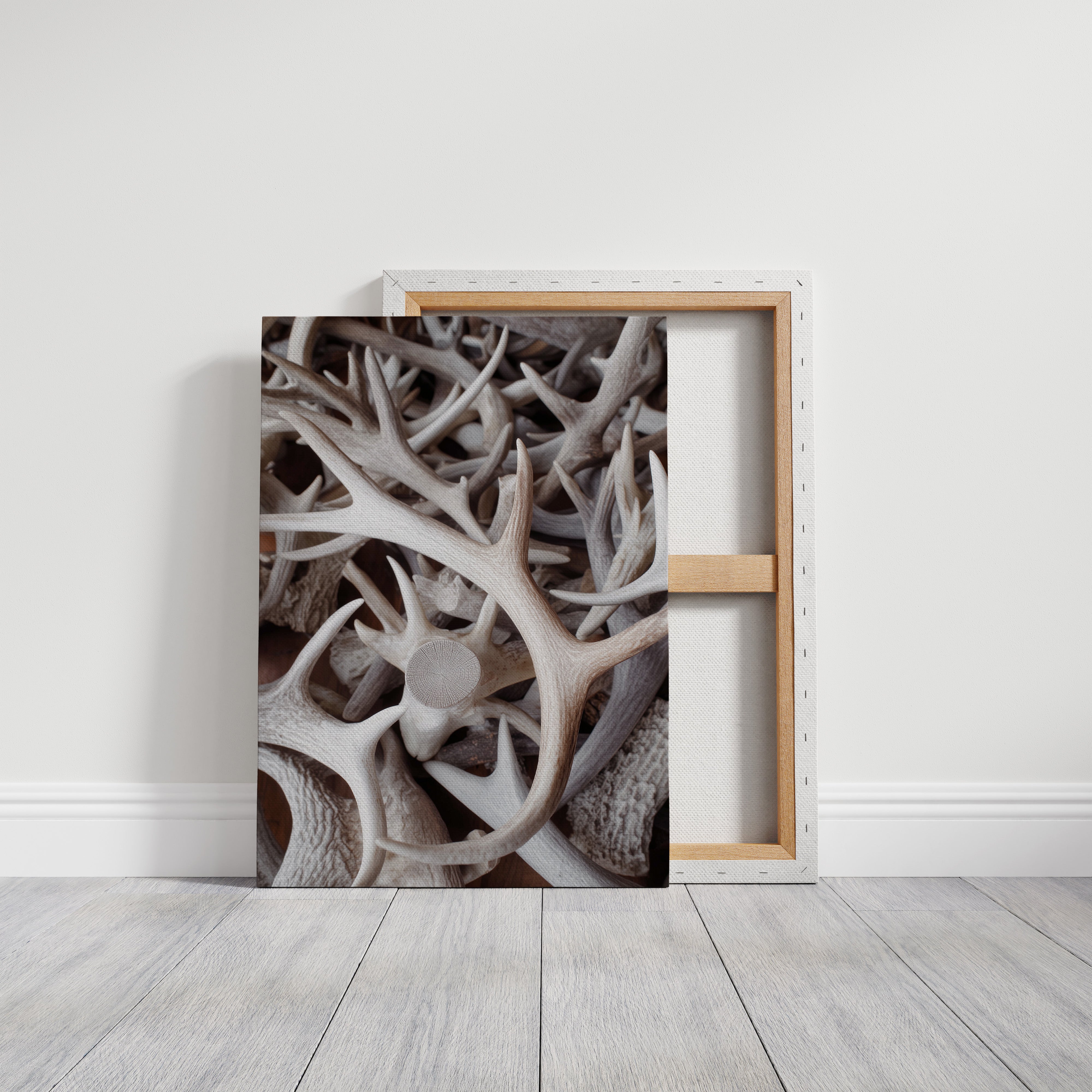 Antlers Tell Tales Of Winter