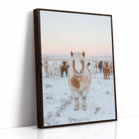 Fluffy Pony in Winter Herd