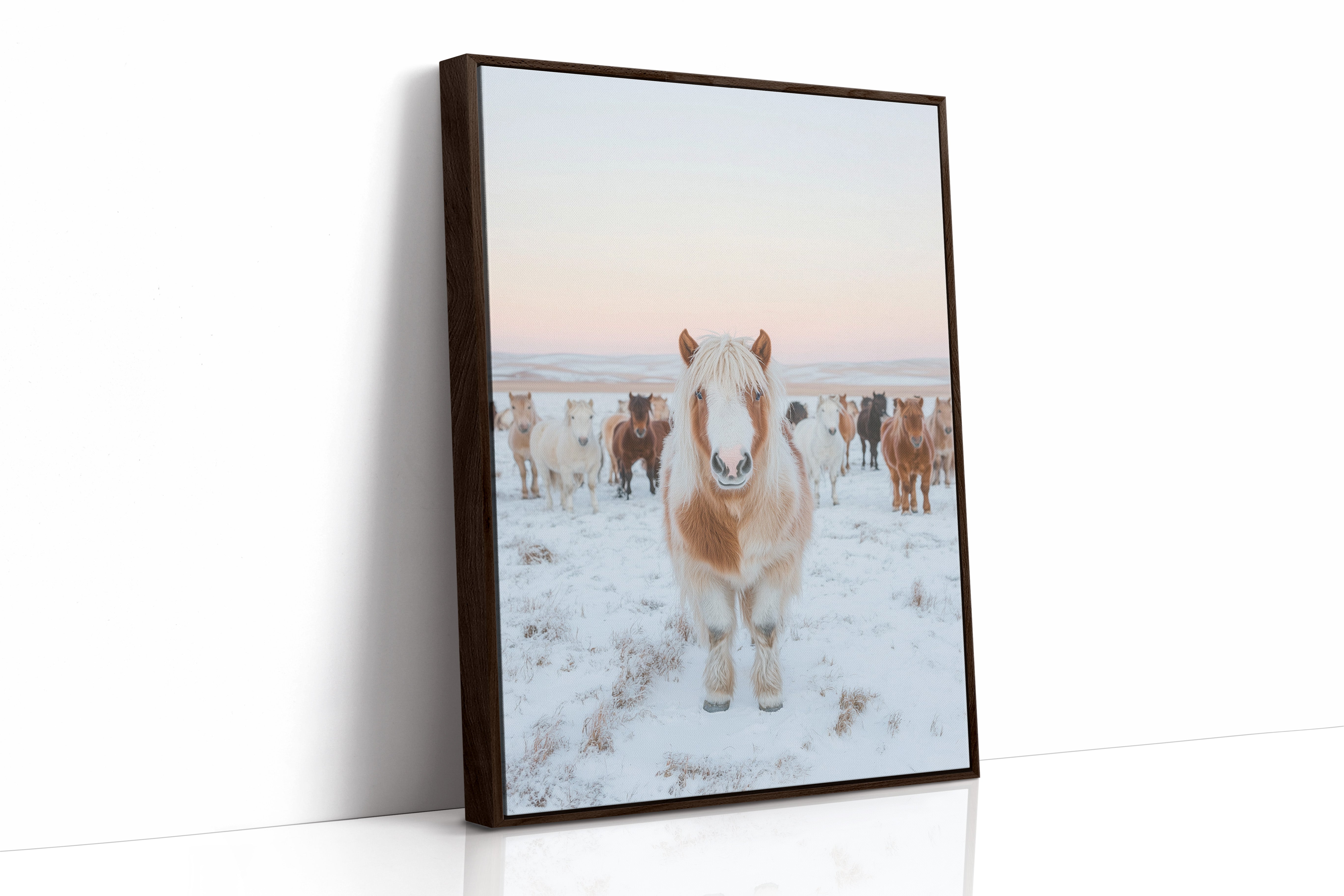 Fluffy Pony in Winter Herd