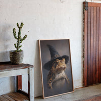 The Toad Who Wore Magic