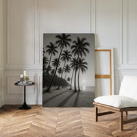 Palm Shadows at Sunrise