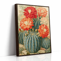 Desert Bloom: Crimson Succulents