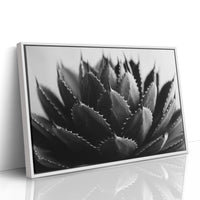 Desert Spines Dance In Moonlight