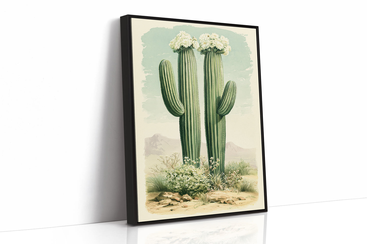 Twin Saguaros in Bloom