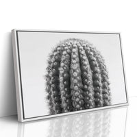 Spines Dance In Silver Light