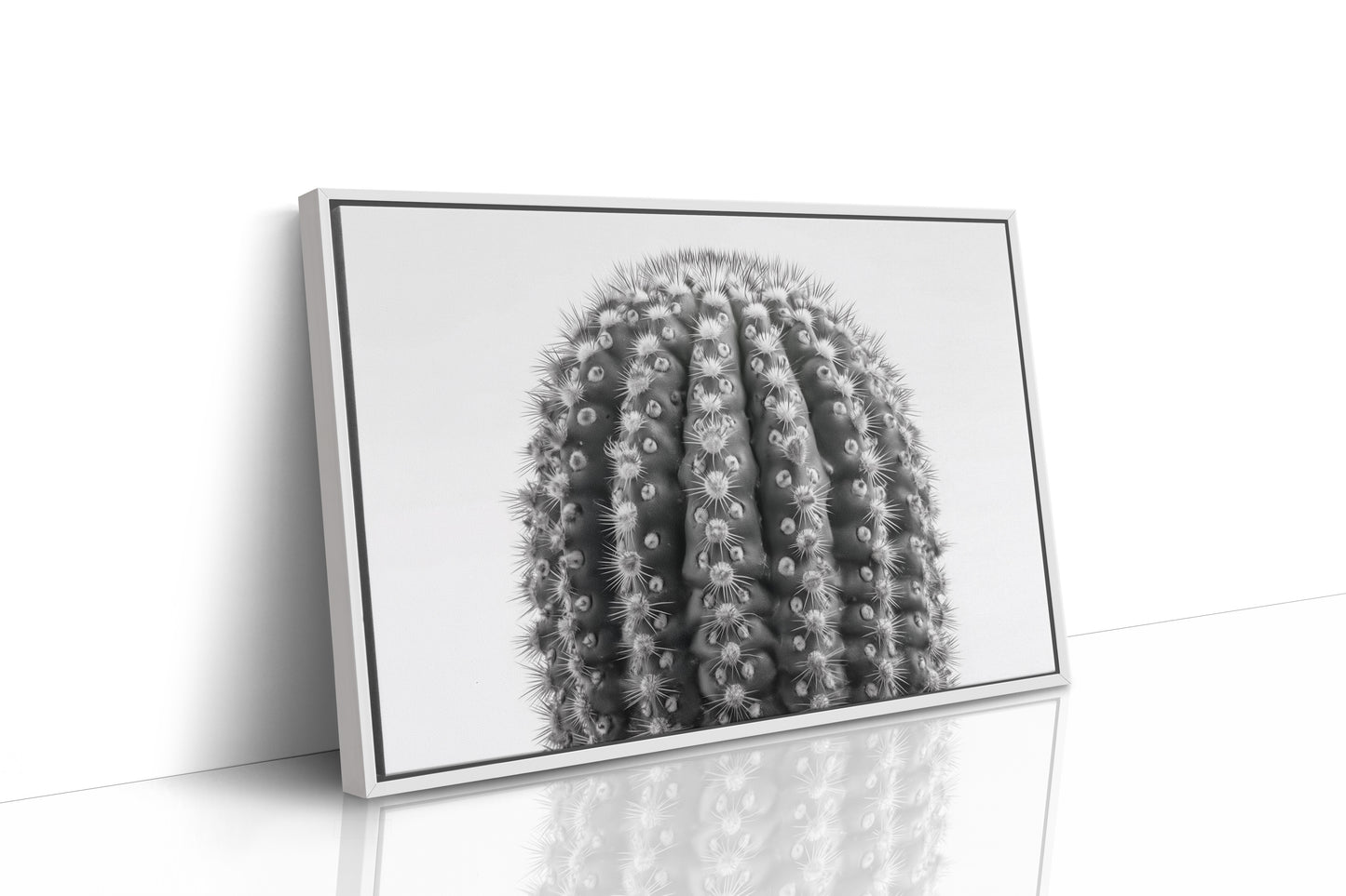 Spines Dance In Silver Light